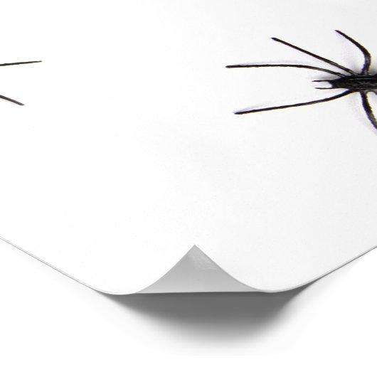 クモ ポスター (角)