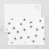 クモ ポストカード (正面/裏面)