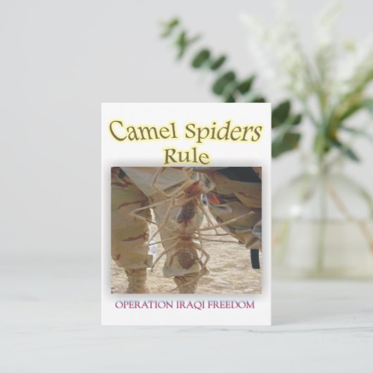 クモ ポストカード (スタンド正面)