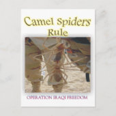 クモ ポストカード (正面)