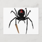 クモ ポストカード (正面)