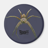 クモ マグネット (正面)