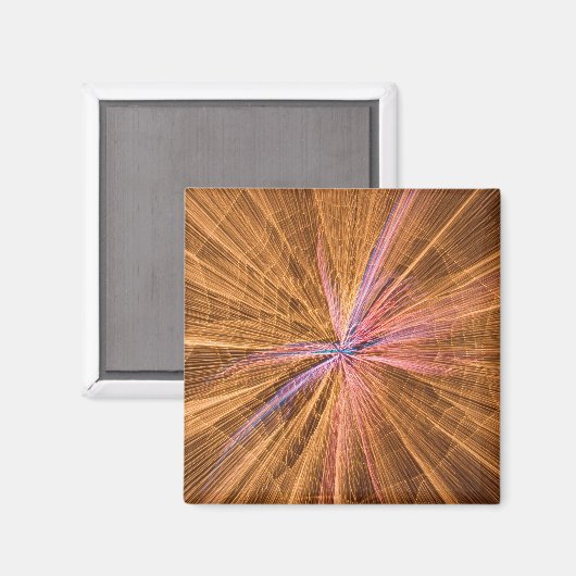 クモ マグネット (正面/裏面)