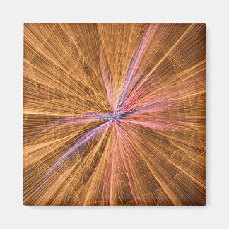 クモ マグネット