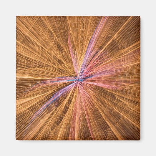 クモ マグネット (正面)