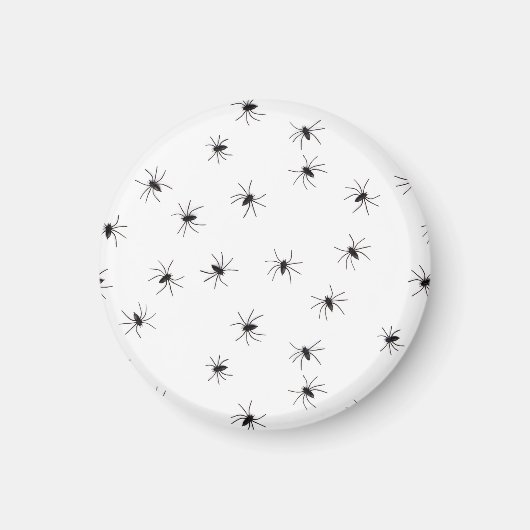 クモ マグネット (正面)