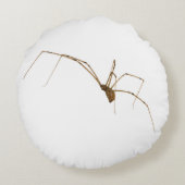 クモ ラウンドクッション (裏面)