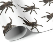 クモ ラッピングペーパー (ロールコーナー)