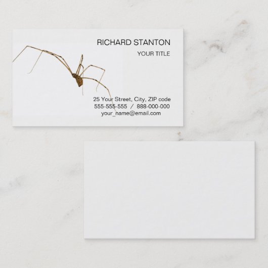 クモ 名刺 (正面/裏面)