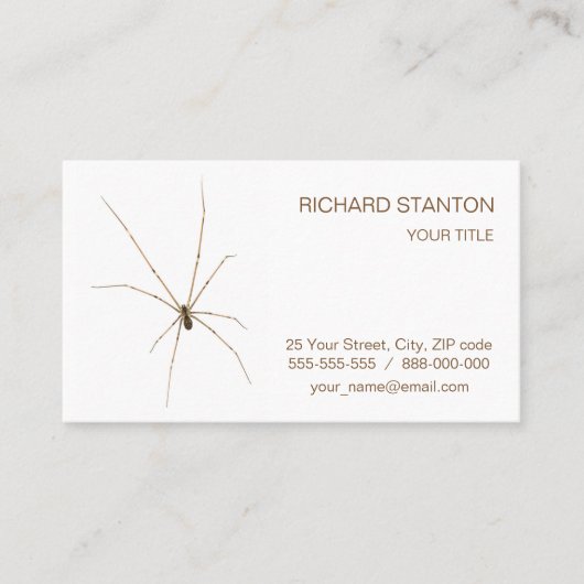 クモ 名刺 (正面)