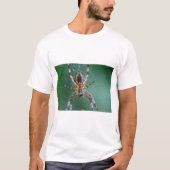 クモ Tシャツ (正面)
