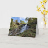 クヤホガバレーナショナルパークブランディワイン滝カード カード (黄色い花)