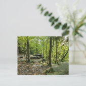 クヤホガ国立公園 ポストカード (スタンド正面)