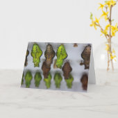 クライサリス誕生日カード カード (黄色い花)