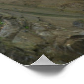 クライスティーヌの滝、紅葉、レイニア山 ポスター (角)