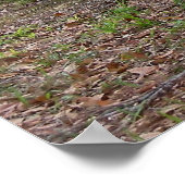 クライスラーPTクルーザー2004限定版カーポステ ポスター (角)