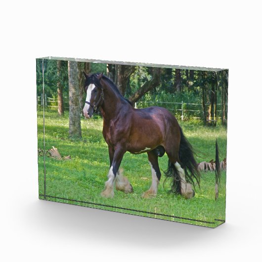 クライズデール フォトブロック (右)