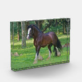クライズデール フォトブロック (左)