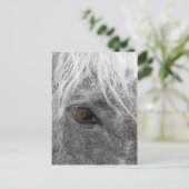 クライデスデールホース葉書 ポストカード (スタンド正面)