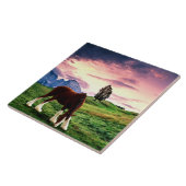 クライデールサンセット タイル (側面)