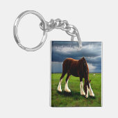 クライデールストーム キーホルダー (正面左)