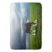 クライデールストーム バスマット (正面縦)