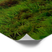 クライデールストーム ポスター (角)