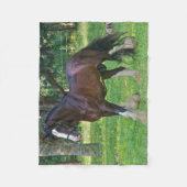 クライデールホース フリースブランケット (正面)