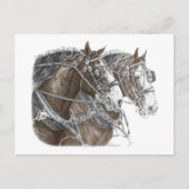 クライデール荷車を引くホースチーム ポストカード (正面)