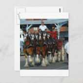 クライデール6馬のヒッチ ポストカード (正面/裏面)