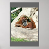 クライド ポスター (正面)