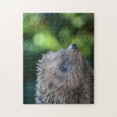 クライナーイゲル ジグソーパズル (縦)