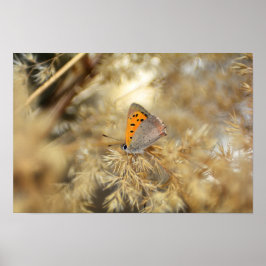 クライナーフェイアファルター ポスター