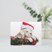 クライナーボクサーウェルペ/小ボクサーパピースクリスマス シーズンポストカード (スタンド正面)