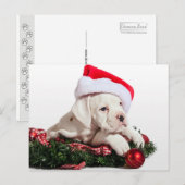 クライナーボクサーウェルペ/小ボクサーパピースクリスマス シーズンポストカード (正面/裏面)