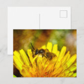 クライネビエン ポストカード (正面/裏面)