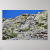 クライマーはワイオミング州デビルズタワーの頂上に近い ポスター (正面)