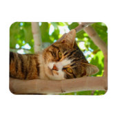 クライマー猫 マグネット (横)