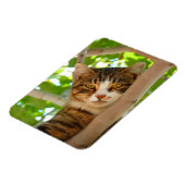 クライマー猫 マグネット (左側)