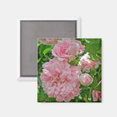 クライミングローズ マグネット (正面/裏面)