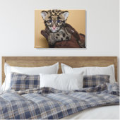 クラウディドヒョウの仔 キャンバスプリント (インサイチュ (寝室))