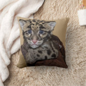 クラウディドヒョウの仔 クッション (ブランケット)