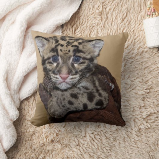 クラウディドヒョウの仔 クッション (ブランケット)