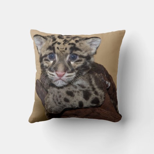 クラウディドヒョウの仔 クッション (裏面)