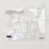 クラウディドヒョウ詳細 ポストカード (裏面)