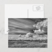 クラウドのキャッチ(B&W) ポストカード (正面/裏面)