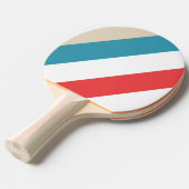 クラウドチェーはっきりしたサストライプの 卓球ラケット (正面アングル)