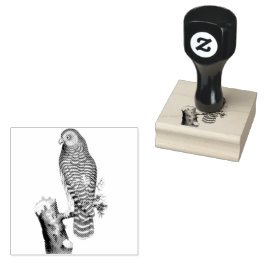 クラウドフクロウオンブランチヴィンテージイラストレーション ラバースタンプ