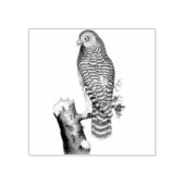 クラウドフクロウオンブランチヴィンテージイラストレーション ラバースタンプ (インプリント)