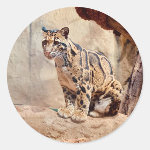 クラウドリープドの写真 自然 ラウンドシール